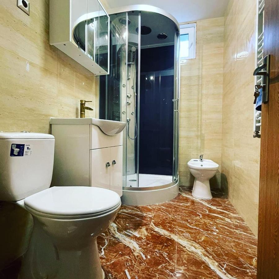 La Bunici Apartment Baia Mare Luaran gambar